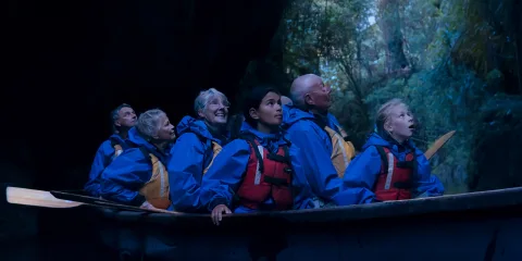 Group admiring glowworms on Big Kanu tour through native bush in Tauranga