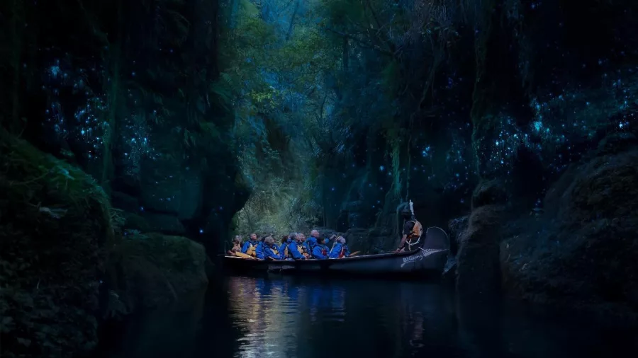 Big Kanu inside glowworm-lit canyon on Lake McLaren during evening tour from Tauranga