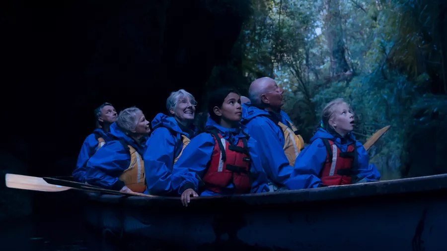 Group admiring glowworms on Big Kanu tour through native bush in Tauranga