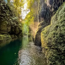 Sunbeams shining into the moss-covered Mangapapa Canyon at Lake McLaren