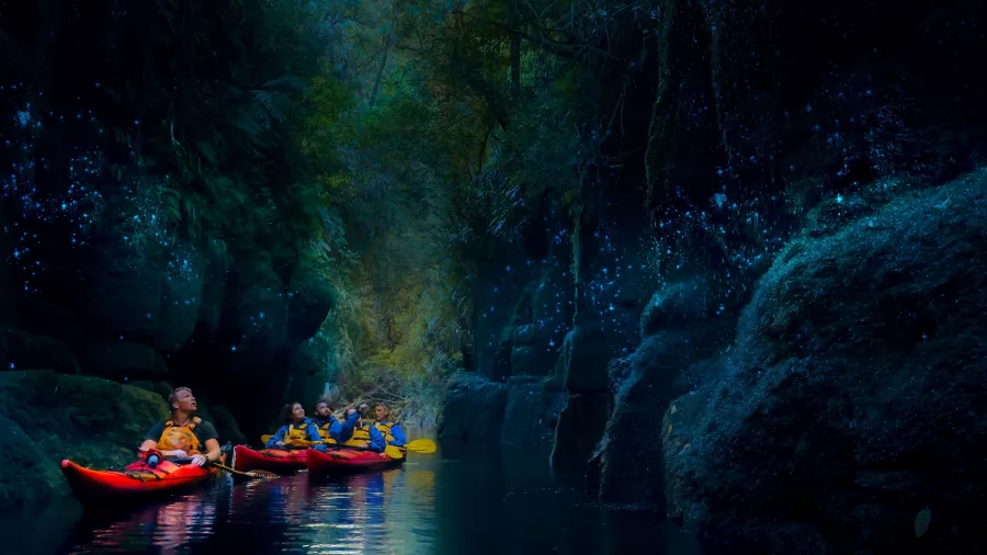 Glowworms glowing along the canyon walls as kayakers pass through on Lake McLaren