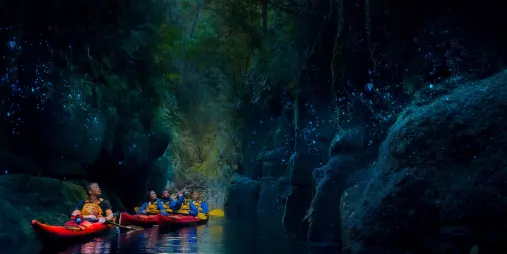 Glowworms glowing along the canyon walls as kayakers pass through on Lake McLaren