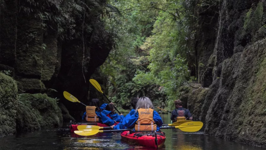 A group of kayakers exploring the narrow Mangapapa Canyon near Tauranga