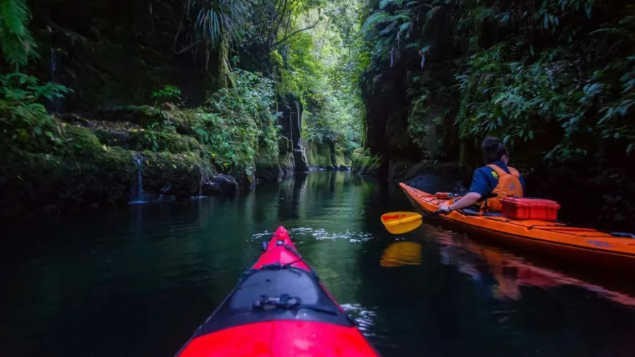 Kayakers paddling through the lush Mangapapa Canyon on Lake McLaren