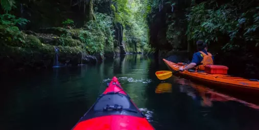 Kayakers paddling through the lush Mangapapa Canyon on Lake McLaren