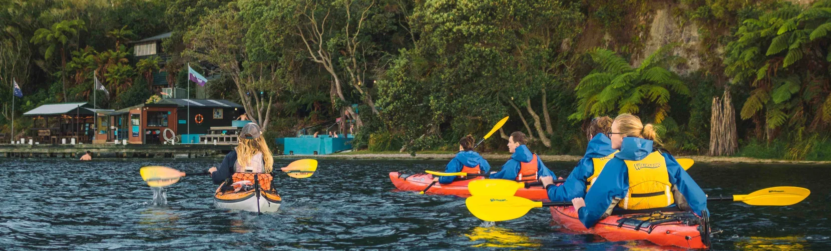 Group kayaking toward Manupirua Hot Pools surrounded by native bush