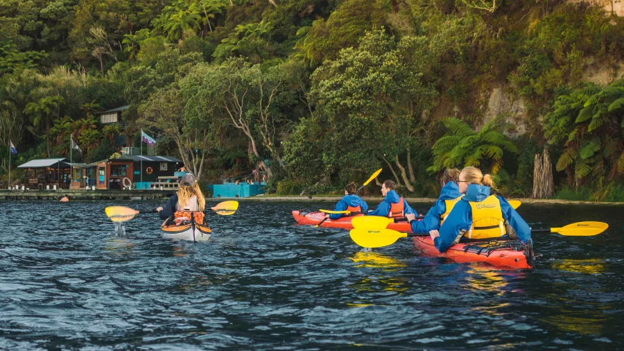 Group kayaking toward Manupirua Hot Pools surrounded by native bush