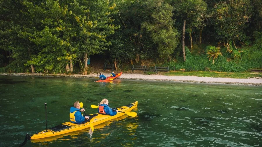 Couples kayaking on the clear waters of Lake Rotoiti surrounded by greenery