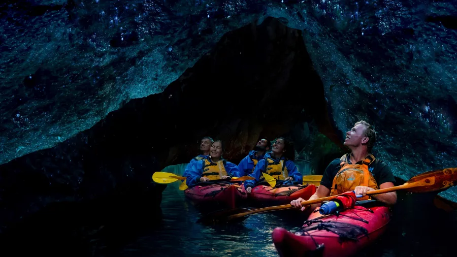 Kayakers exploring a glow worm cave at night on Lake Rotoiti