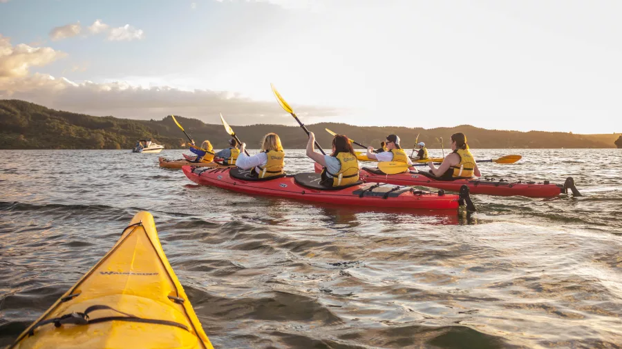 Group kayaking across Lake Rotoiti at sunset