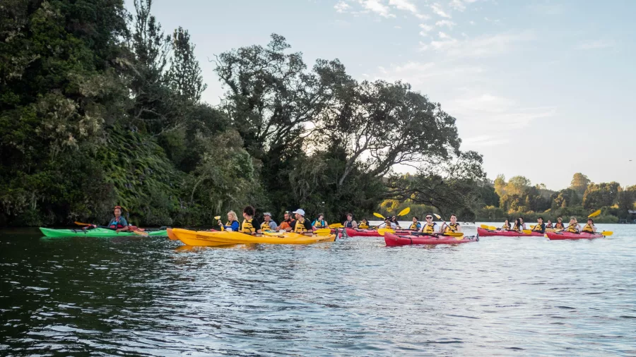 Group of kayakers paddling together on Lake Rotoiti in the evening