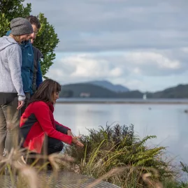 Guide sharing Māori knowledge of native plants during a cultural tour beside Okawa Bay near Lake Rotoiti.