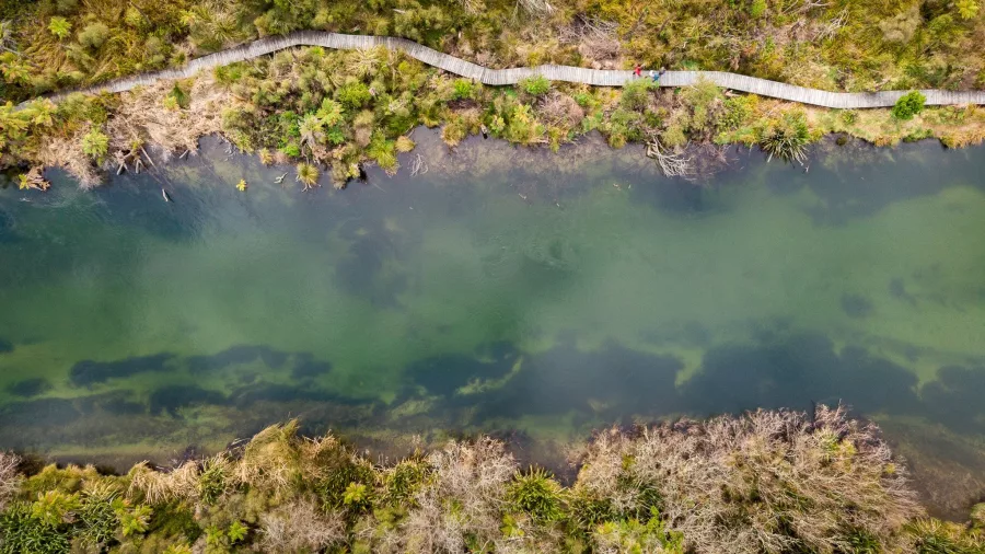 Aerial view of the boardwalk alongside Ōhau Channel, surrounded by native bush in Rotorua.