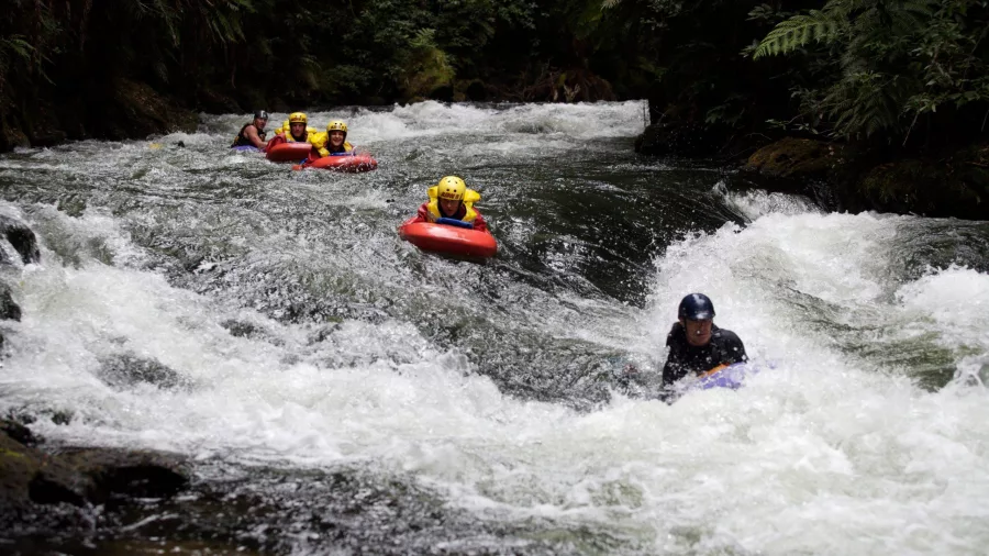 Sledgers navigating intense white-water rapids on the Kaituna River.