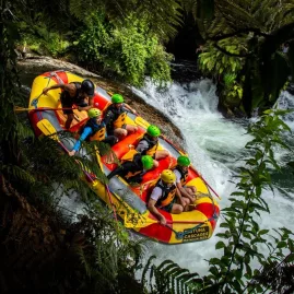 Rafting team dropping into a rapid on the Kaituna River surrounded by native bush.