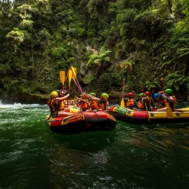 Rafting teams celebrating with raised paddles after completing rapids on the Kaituna River.