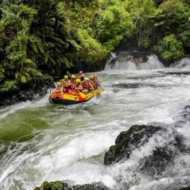 Rafters preparing to descend Tutea Falls on the Kaituna River, surrounded by lush native forest in Rotorua.