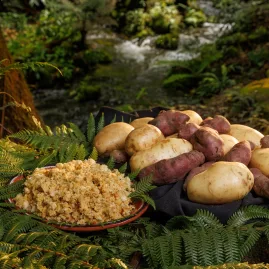 Fresh root vegetables prepared for a traditional Māori hāngī at Mitai Village.