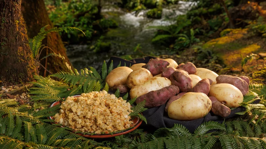 Fresh root vegetables prepared for a traditional Māori hāngī at Mitai Village.