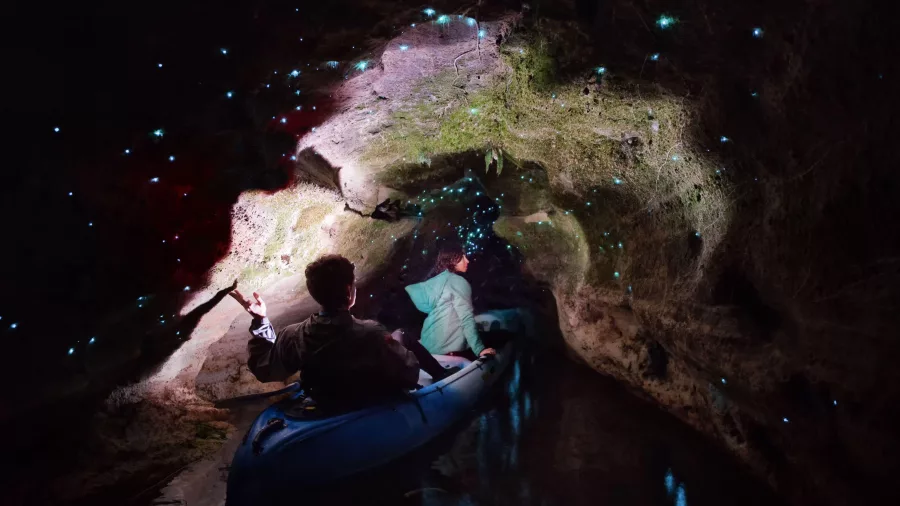 Kayakers drifting beneath a starlit ceiling of glow worms in a Rotorua cave tunnel.