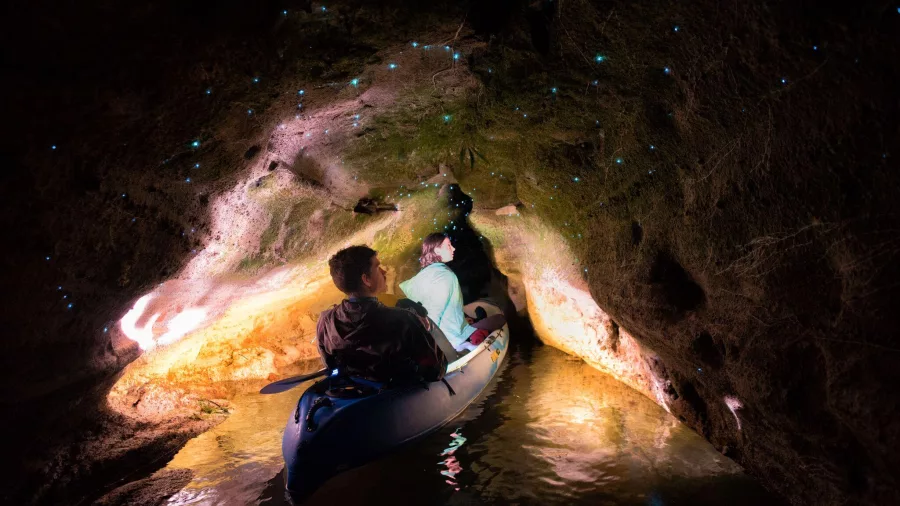 Two people kayaking under a canopy of glow worms inside a lit cave on Lake Okareka.