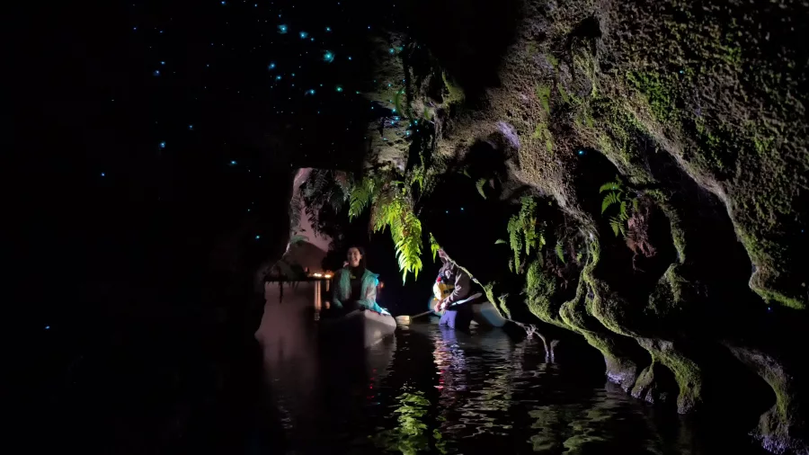 Glow worm cave lit up above kayakers paddling through a narrow grotto on a Rotorua night tour.