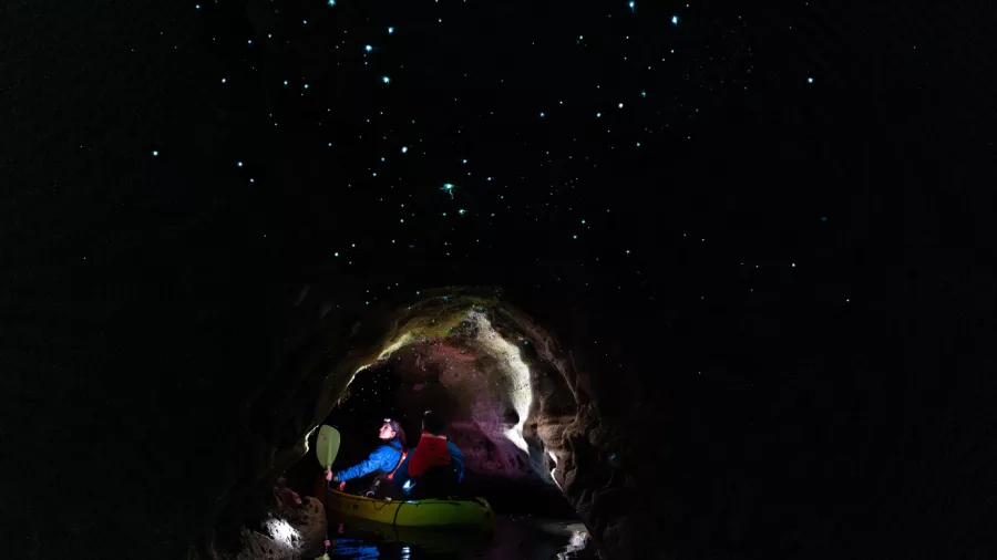 Kayakers deep inside a dark cave with glow worms glowing overhead in Rotorua.