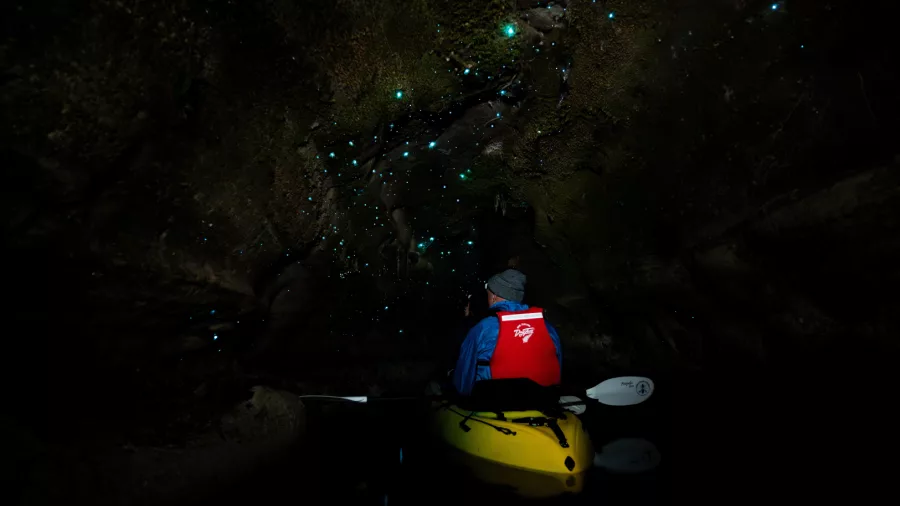 Kayaker in yellow kayak inside a glow worm cave near Rotorua, lit by bioluminescent light.