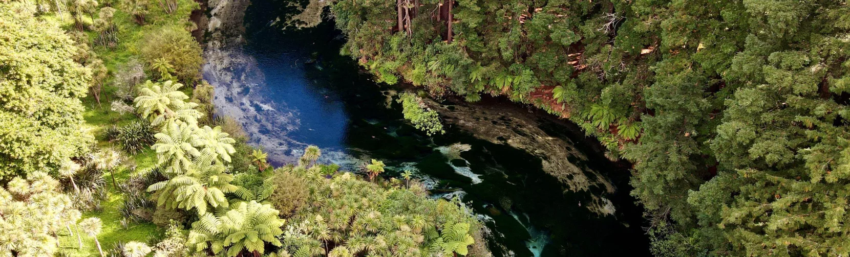 Aerial view of winding blue stream and dense forest near Rotorua’s Redwoods.