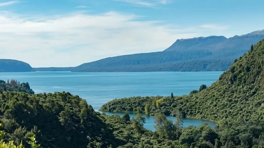 Elevated view of Lake Tarawera and surrounding green valleys on a clear day.