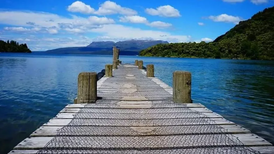 Wooden jetty extending into the calm blue waters of Lake Tarawera with mountain backdrop.