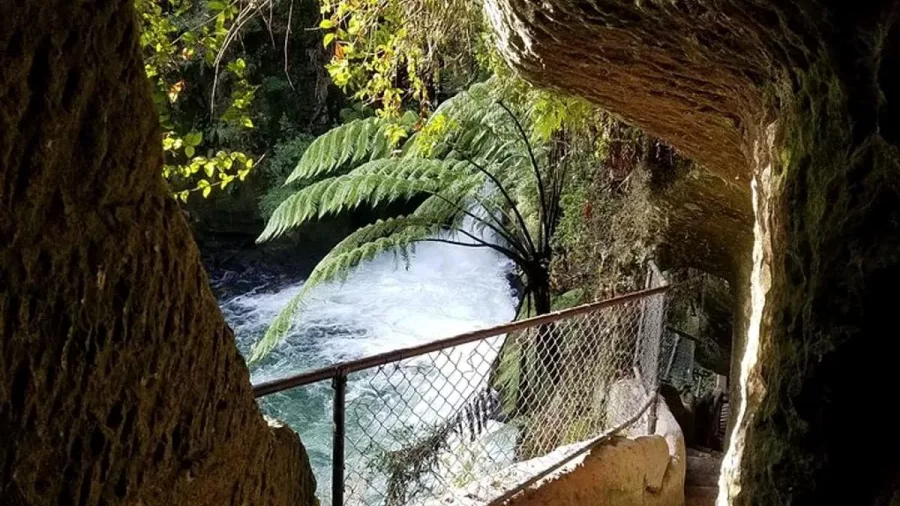 View of Okere Falls through a cave tunnel with native ferns and river below.