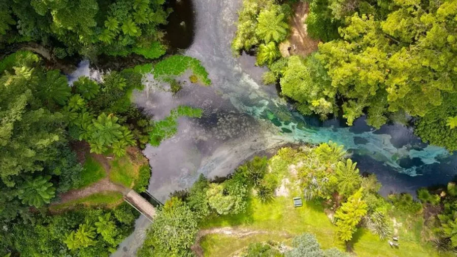 Drone view of Hamurana Stream with footbridge and surrounding forest in Rotorua.