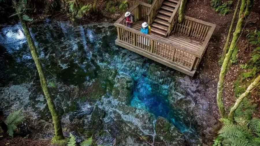 Visitors standing on a wooden deck above the clear blue waters of Hamurana Springs.