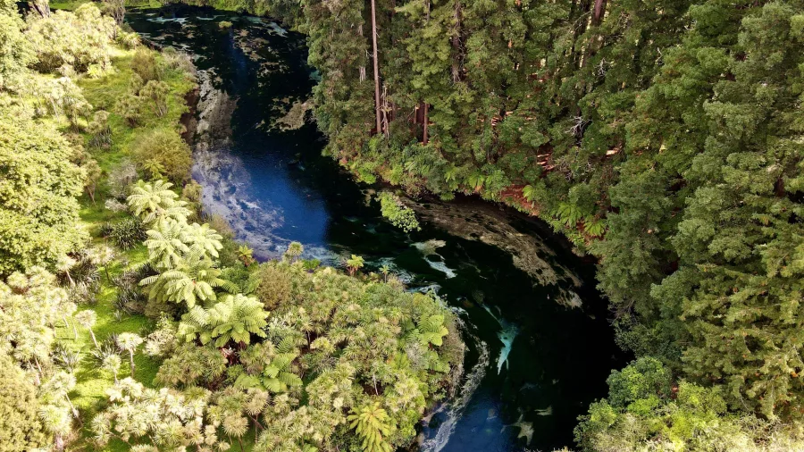 Aerial view of winding blue stream and dense forest near Rotorua’s Redwoods.