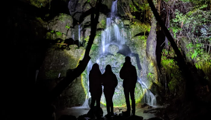 Silhouetted figures at a waterfall illuminated by torchlight on a night walk.