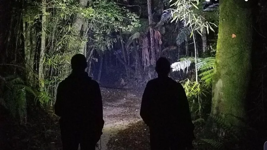 Two people walking through native bush in Rotorua lit by headlamps at night.