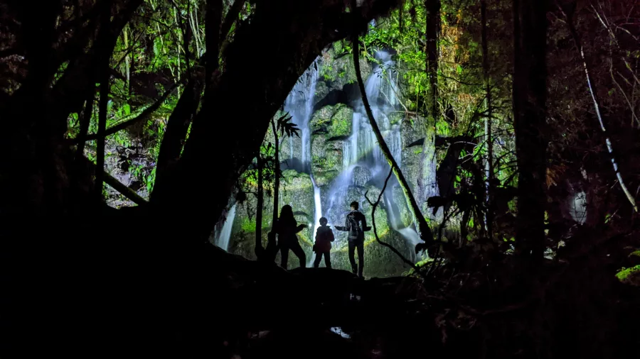 Silhouetted explorers admiring a softly lit waterfall on a Rotorua glow-worm walk.