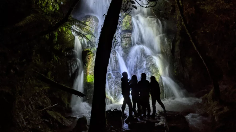 Group standing in silhouette in front of a lit waterfall during a Rotorua glow worm night tour