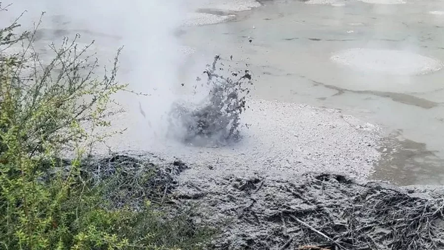 Bubbling geothermal mud pool erupting with steam in Rotorua