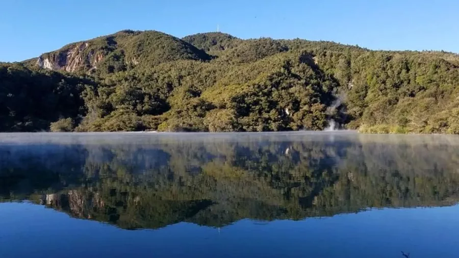 Still geothermal lake reflecting the forest and Mount Tarawera in Rotorua