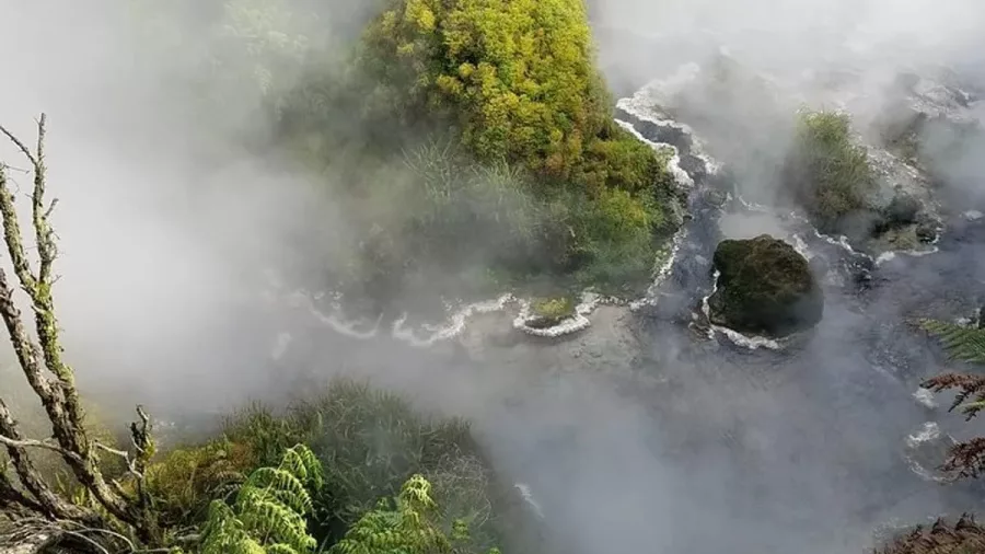 Aerial view of geothermal valley with steam rising and winding hot streams in Rotorua