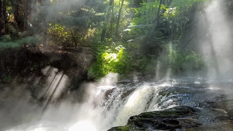 Steaming waterfall at Kerosene Creek, a natural hot spring stream near Rotorua.