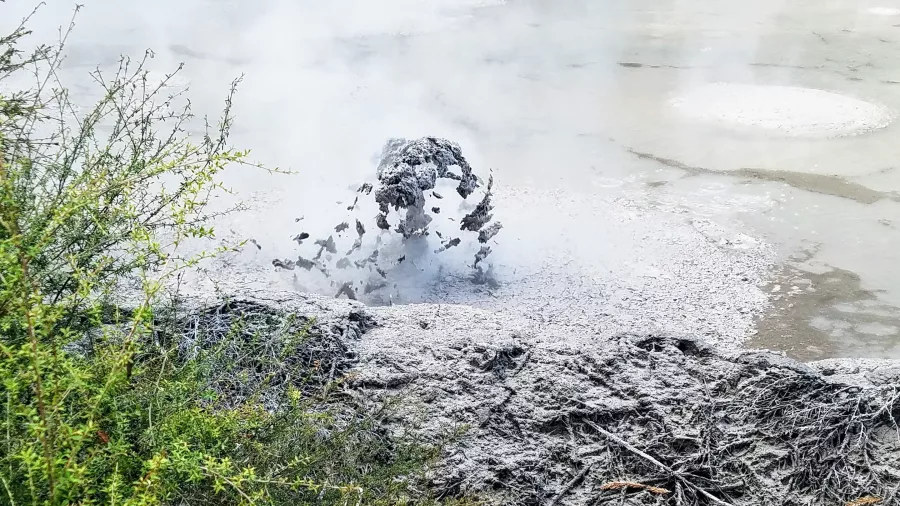 Geothermal mud pool mid-eruption with steam and flying mud near Rotorua.