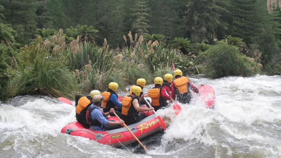 A group of rafters paddling through turbulent whitewater on the Upper Rangitāiki River.