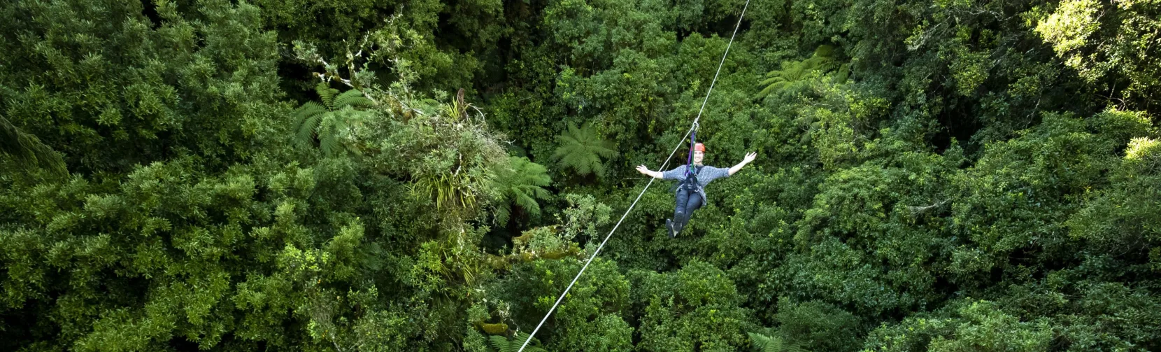Person ziplining above dense native forest canopy during canopy adventure in Rotorua, New Zealand