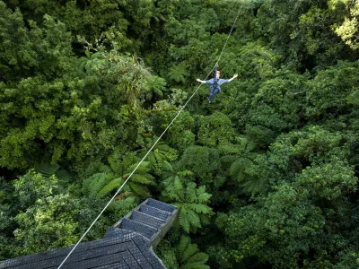 Person ziplining above dense native forest canopy during canopy adventure in Rotorua, New Zealand