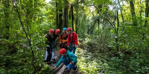 Canopy tour group learning about native forest plants and conservation in Rotorua, New Zealand