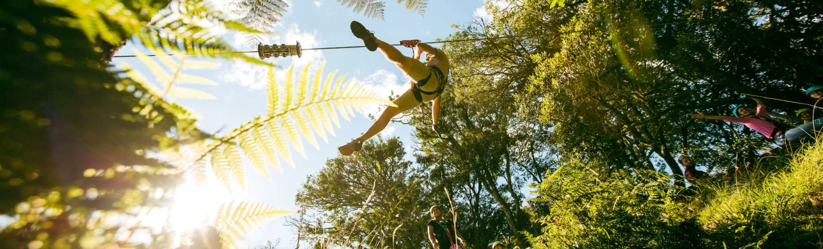 Person ziplining through native forest in Rotorua, New Zealand, with sunlight streaming through the trees and ferns in the foreground.