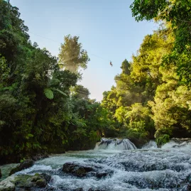 Person ziplining above river rapids and waterfalls at Ōkere Falls in Rotorua